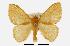  ( - USNM ENT 00195645)  @15 [ ] Unspecified (default): All Rights Reserved  Unspecified Unspecified