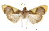  ( - USNM ENT 00733509)  @13 [ ] Unspecified (default): All Rights Reserved  Unspecified Unspecified