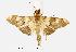  ( - USNM ENT 00733519)  @14 [ ] Unspecified (default): All Rights Reserved  Unspecified Unspecified