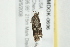  ( - MDOK-0696)  @12 [ ] CreativeCommons - Attribution (2009) Unspecified Centre for Biodiversity Genomics
