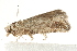  ( - MDOK-0720)  @12 [ ] CreativeCommons - Attribution (2009) Unspecified Centre for Biodiversity Genomics