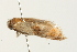  ( - MDOK-0722)  @12 [ ] CreativeCommons - Attribution (2009) Unspecified Centre for Biodiversity Genomics
