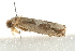  ( - MDOK-0724)  @12 [ ] CreativeCommons - Attribution (2009) Unspecified Centre for Biodiversity Genomics