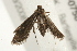  ( - MDOK-0758)  @12 [ ] CreativeCommons - Attribution (2009) Unspecified Centre for Biodiversity Genomics