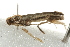  ( - MDOK-0795)  @12 [ ] CreativeCommons - Attribution (2009) Unspecified Centre for Biodiversity Genomics