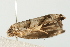  ( - MDOK-0829)  @12 [ ] CreativeCommons - Attribution (2009) Unspecified Centre for Biodiversity Genomics