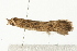  ( - MDOK-0831)  @12 [ ] CreativeCommons - Attribution (2009) Unspecified Centre for Biodiversity Genomics