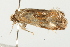  ( - MDOK-0849)  @12 [ ] CreativeCommons - Attribution (2009) Unspecified Centre for Biodiversity Genomics