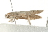  ( - MDOK-0864)  @13 [ ] CreativeCommons - Attribution (2009) Unspecified Centre for Biodiversity Genomics