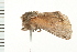  ( - MDOK-0065)  @12 [ ] CreativeCommons - Attribution (2008) Unspecified Centre for Biodiversity Genomics