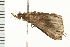  ( - MDOK-0068)  @12 [ ] CreativeCommons - Attribution (2008) Unspecified Centre for Biodiversity Genomics
