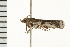  ( - MDOK-0095)  @12 [ ] CreativeCommons - Attribution (2008) Unspecified Centre for Biodiversity Genomics