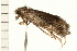  ( - MDOK-0136)  @12 [ ] CreativeCommons - Attribution (2008) Unspecified Centre for Biodiversity Genomics