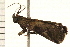  ( - MDOK-0159)  @12 [ ] CreativeCommons - Attribution (2008) Unspecified Centre for Biodiversity Genomics