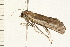  ( - MDOK-0160)  @12 [ ] CreativeCommons - Attribution (2008) Unspecified Centre for Biodiversity Genomics