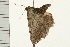 ( - MDOK-0197)  @12 [ ] CreativeCommons - Attribution (2008) Unspecified Centre for Biodiversity Genomics