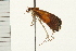  ( - MDOK-0199)  @12 [ ] CreativeCommons - Attribution (2008) Unspecified Centre for Biodiversity Genomics