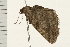  ( - MDOK-0233)  @12 [ ] CreativeCommons - Attribution (2008) Unspecified Centre for Biodiversity Genomics
