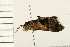  ( - MDOK-0248)  @13 [ ] CreativeCommons - Attribution (2008) Unspecified Centre for Biodiversity Genomics