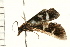  ( - MDOK-0290)  @12 [ ] CreativeCommons - Attribution (2008) Unspecified Centre for Biodiversity Genomics