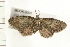  ( - MDOK-0302)  @13 [ ] CreativeCommons - Attribution (2008) Unspecified Centre for Biodiversity Genomics