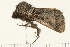  ( - MDOK-0349)  @13 [ ] CreativeCommons - Attribution (2008) Unspecified Centre for Biodiversity Genomics