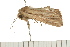  ( - MDOK-0377)  @12 [ ] CreativeCommons - Attribution (2008) Unspecified Centre for Biodiversity Genomics