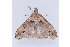  ( - MDOK-1018)  @13 [ ] Copyright (2010) Unspecified Unspecified