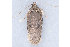  ( - MDOK-1074)  @14 [ ] Copyright (2010) Unspecified Unspecified