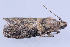  ( - MDOK-1111)  @12 [ ] Copyright (2010) Unspecified Unspecified