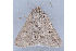  ( - MDOK-1112)  @13 [ ] Copyright (2010) Unspecified Unspecified