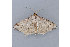  ( - MDOK-1115)  @13 [ ] Copyright (2010) Unspecified Unspecified
