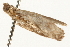  ( - MDOK-0872)  @12 [ ] CreativeCommons - Attribution (2009) Unspecified Centre for Biodiversity Genomics