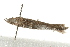  ( - MDOK-0883)  @12 [ ] CreativeCommons - Attribution (2009) Unspecified Centre for Biodiversity Genomics