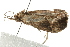  ( - MDOK-0891)  @12 [ ] CreativeCommons - Attribution (2009) Unspecified Centre for Biodiversity Genomics