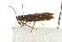  ( - MDOK-0912)  @12 [ ] CreativeCommons - Attribution (2009) Unspecified Centre for Biodiversity Genomics