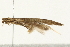  ( - MDOK-0947)  @12 [ ] CreativeCommons - Attribution (2009) Unspecified Centre for Biodiversity Genomics