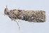  ( - MDOK-1145)  @12 [ ] Copyright (2010) Unspecified Unspecified