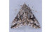  ( - MDOK-1298)  @12 [ ] Copyright (2010) Unspecified Unspecified