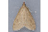  ( - MDOK-1315)  @12 [ ] Copyright (2010) Unspecified Unspecified