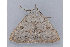 ( - MDOK-1342)  @13 [ ] Copyright (2010) Unspecified Unspecified