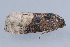  ( - MDOK-1354)  @12 [ ] Copyright (2010) Unspecified Unspecified