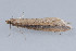  ( - MDOK-1756)  @12 [ ] CreativeCommons - Attribution (2009) Unspecified Centre for Biodiversity Genomics