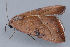  ( - MDOK-1812)  @14 [ ] CreativeCommons - Attribution (2009) Unspecified Centre for Biodiversity Genomics