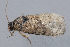  ( - MDOK-1402)  @12 [ ] Copyright (2010) Unspecified Unspecified