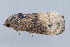 ( - MDOK-1405)  @12 [ ] Copyright (2010) Unspecified Unspecified
