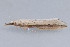  ( - MDOK-1409)  @12 [ ] Copyright (2010) Unspecified Unspecified