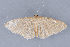  ( - MDOK-1414)  @13 [ ] Copyright (2010) Unspecified Unspecified