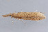  ( - MDOK-1431)  @12 [ ] Copyright (2010) Unspecified Unspecified