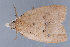  ( - MDOK-1443)  @12 [ ] Copyright (2010) Unspecified Unspecified